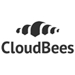 Cloud Bees